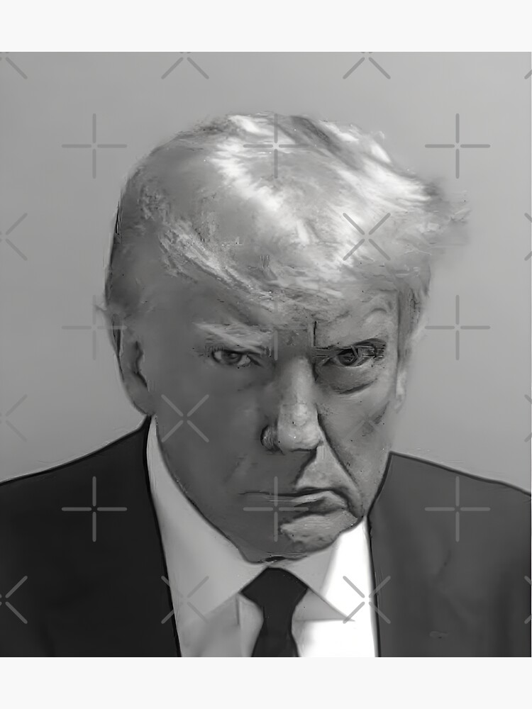 Sticker for Sale avec l uvre Photo de Donald Trump en noir et