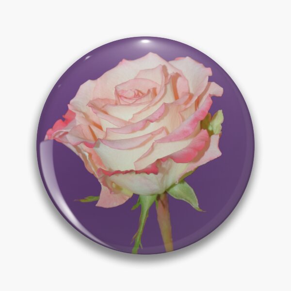 Item preview, Pink Rose Open Bloom - purple background designed and sold by Louise-Mae.