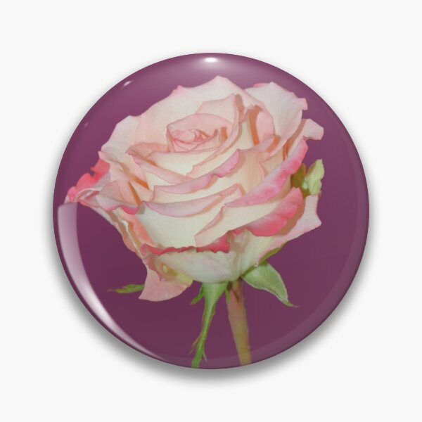 Item preview, Pink Rose Open Bloom - burgundy background designed and sold by Louise-Mae.