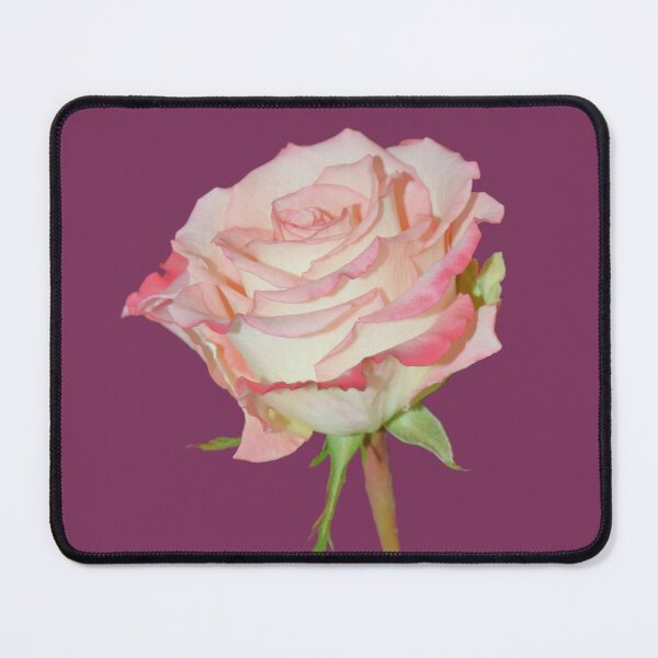 Item preview, Pink Rose Open Bloom - burgundy background designed and sold by Louise-Mae.