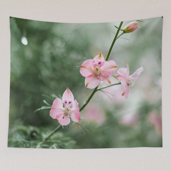 Aperçu de l'œuvre Tige de fleur rose enneigée délicate créée et vendue par Phanaturalis.