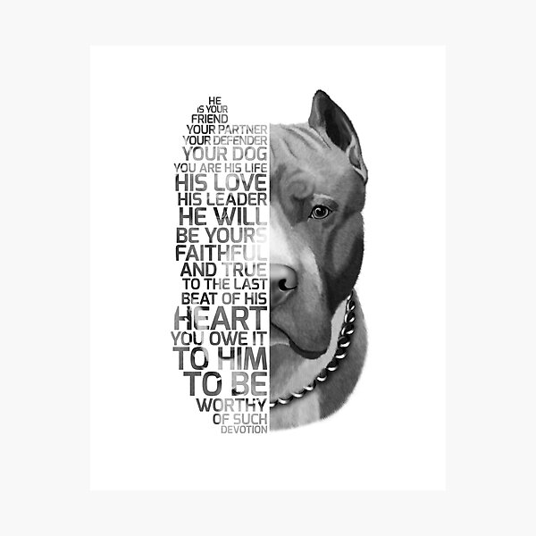 Pit bull Quote, dog quote, Pit Bull Portrait, Pit bull text portrait, Pit bull Painting, Pit Bull illustration Photographic Print