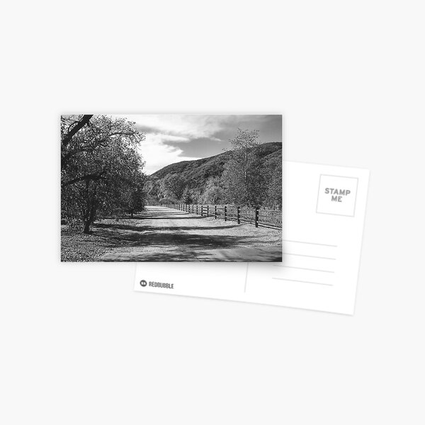 The Forgotten Path Postcard