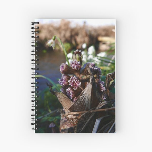 Common Butterbur (Petasites Hybridus) Spiral Notebook
