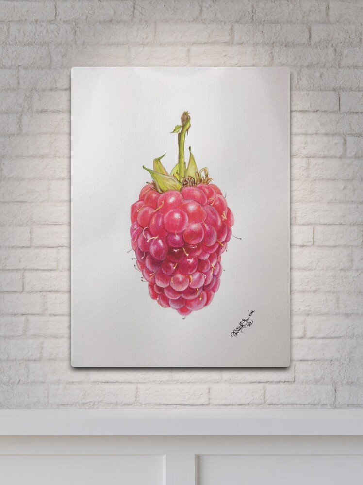 Raspberry Dragon Metal Print