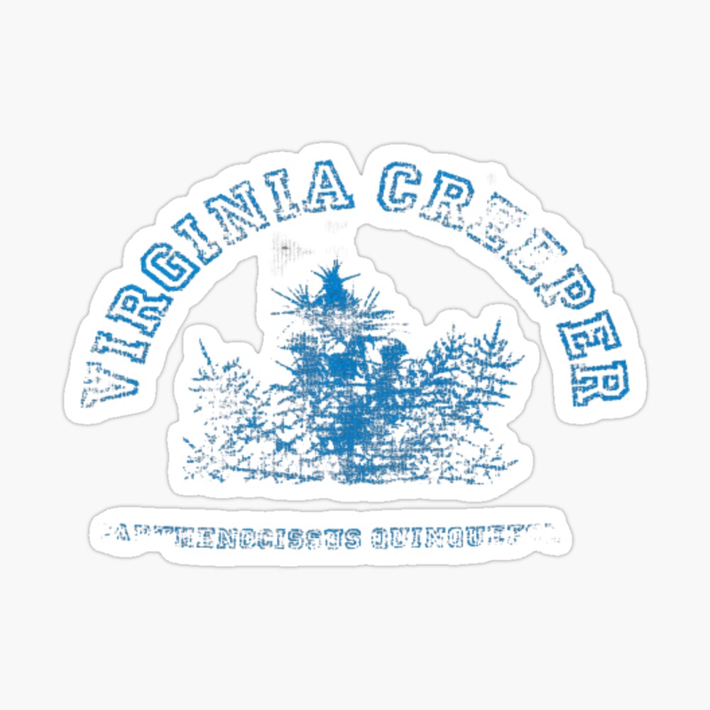 Raf Simons Virginia Creeper - Blue