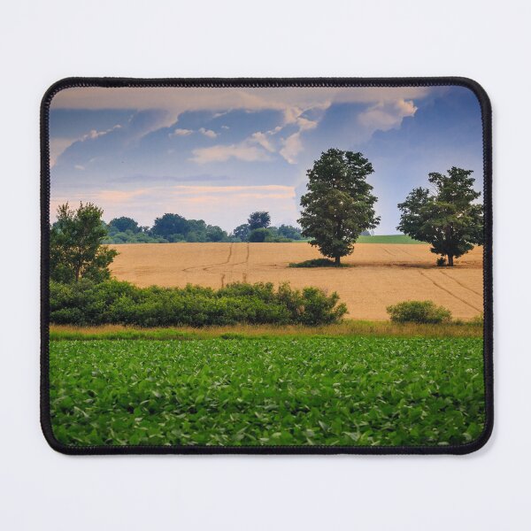 Item preview, Two Trees In Summer Field 6 designed and sold by Robert Alsop.