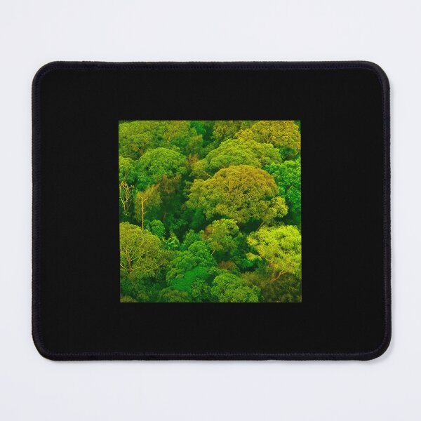 Item preview, Fresh Natural Forest View 	 designed and sold by afzdqsln76.