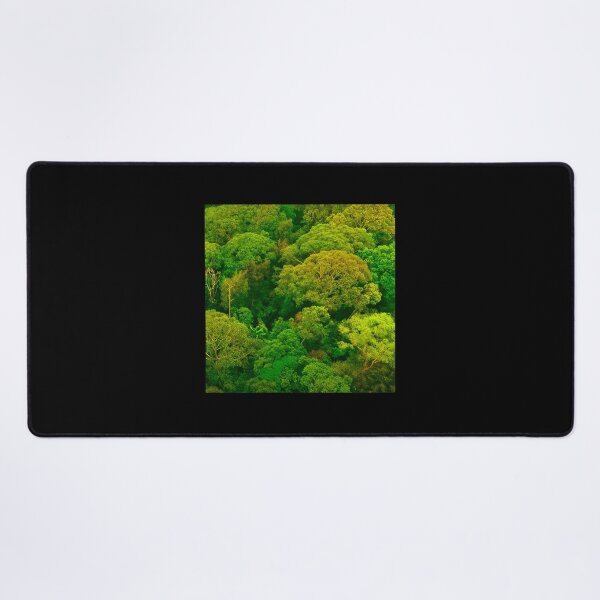 Item preview, Fresh Natural Forest View designed and sold by afzdqsln76.