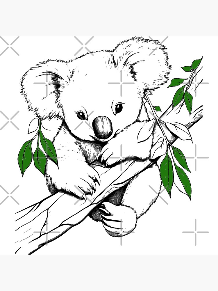 Koala Bear drawing art print | Art Print