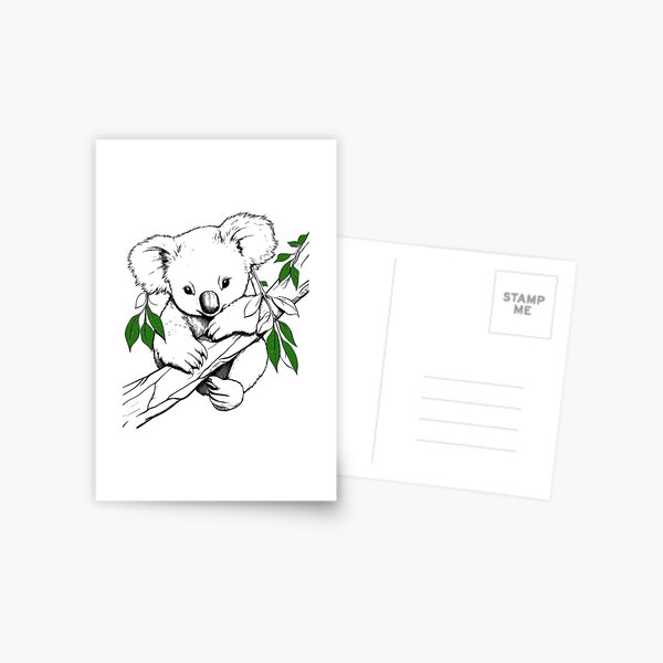 Koala Bear drawing art print Postcard for Sale by dcrc