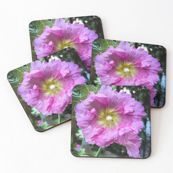 Item preview, In the garden: Alcea (Hollyhock), Los Angeles, California  designed and sold by Douglas E. Welch Design and Photography.