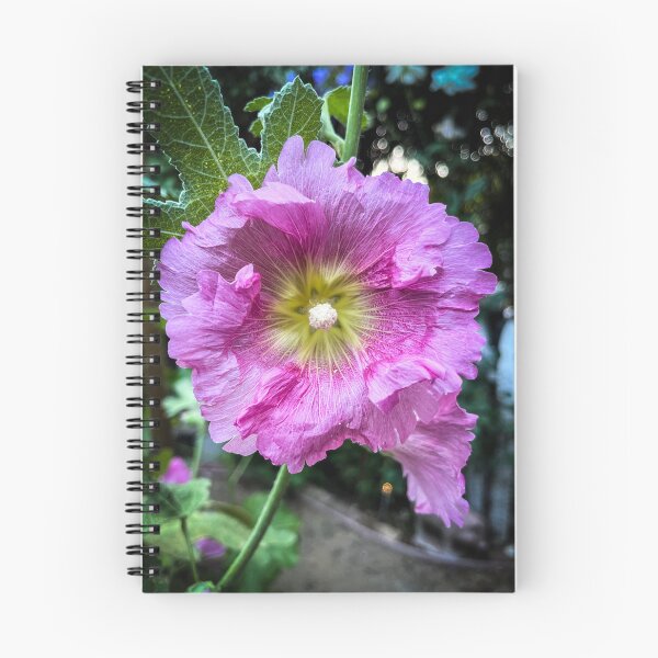 Item preview, In the garden: Alcea (Hollyhock), Los Angeles, California  designed and sold by Douglas E. Welch Design and Photography.