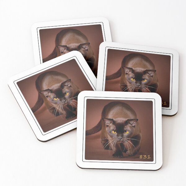 Item preview, Chocolate Cat 831 designed and sold by SimonSays831.
