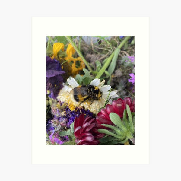 Item preview, Sweet Pea Photo designed and sold by Katharina Wallén.