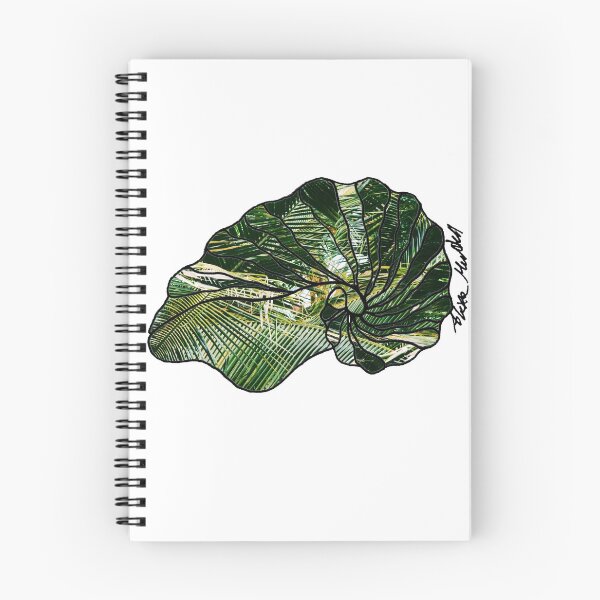 Item preview, Palm Shells designed and sold by LexaMundell.