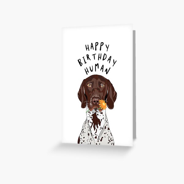 Item preview, 'Happy Birthday Human' German Shorthaired Pointer Dog Birthday Card  designed and sold by Olivia's Doodle Den.