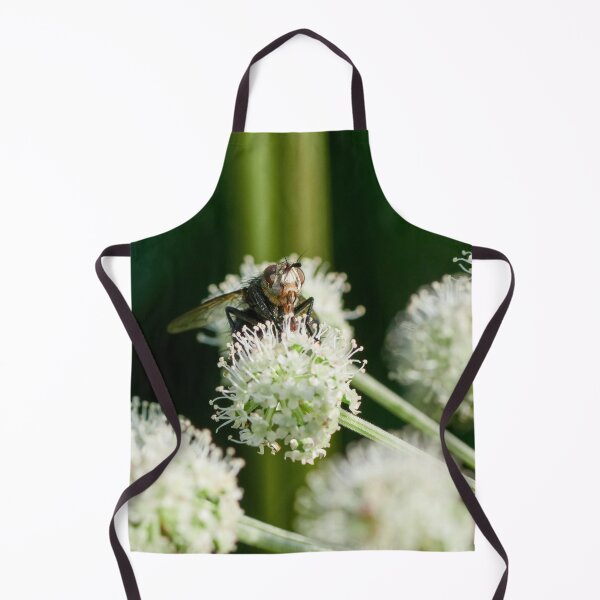 Item preview, Playing with the balls. A fly 1 designed and sold by Jouko Lehto Photography.