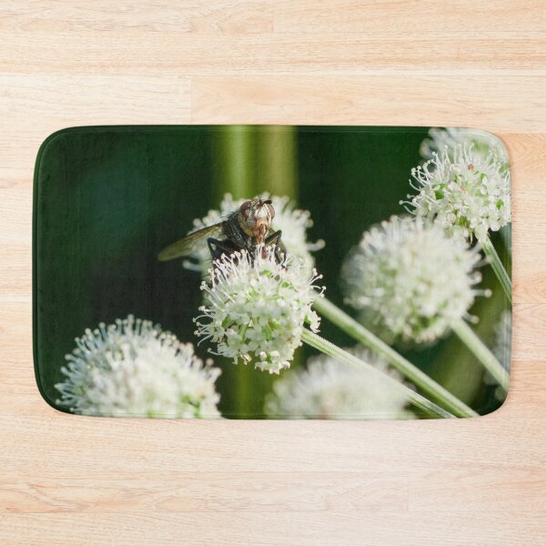 Item preview, Playing with the balls. A fly 1 designed and sold by Jouko Lehto Photography.