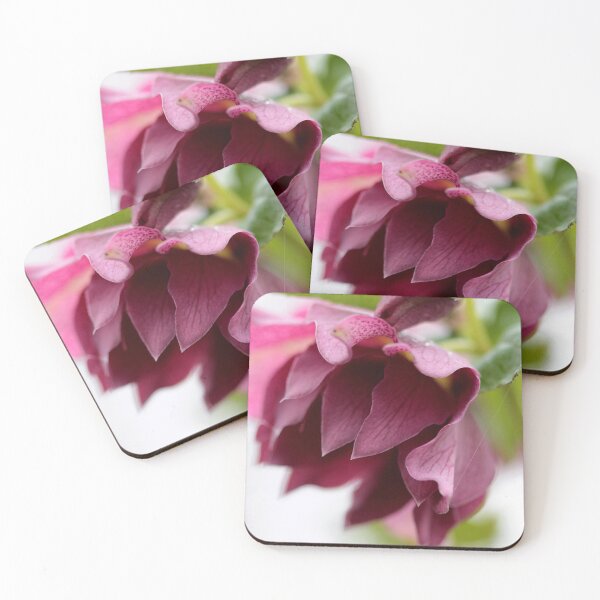Item preview, Purple Helleborus designed and sold by cuprum.