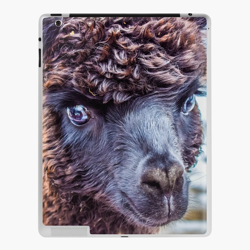 iPad H lle Skin for Sale mit