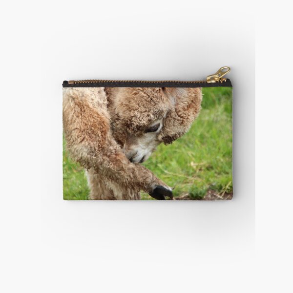 Item preview, Alpaca Print T Shirt For Kids Men Women Real Realistic Photo Mugs Travel Cup Travel Mug Graphic Shirt lama Llama Lamma designed and sold by arcadetoystore.