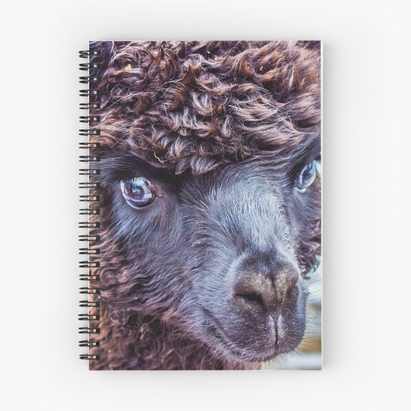 Item preview, Alpaca Print T Shirt For Kids Men Women Real Realistic Photo Mugs Travel Cup Travel Mug Graphic Shirt lama Llama Lamma designed and sold by arcadetoystore.
