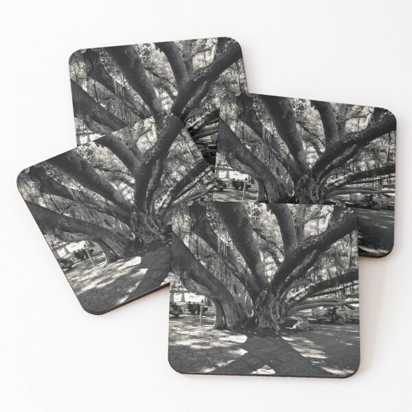 Item preview, The Lahaina Banyan Tree designed and sold by lghtwrkr.