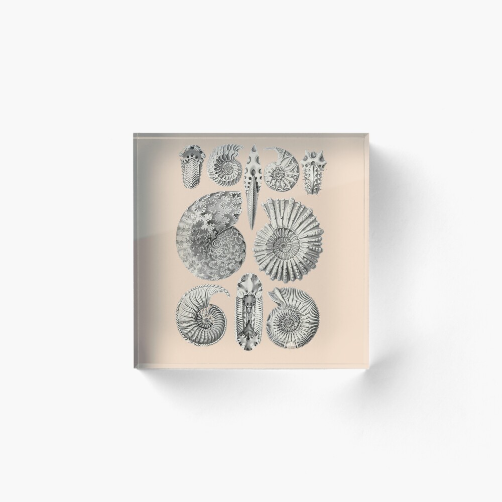 Item preview, Acrylic Block designed and sold by PatronesKawai.