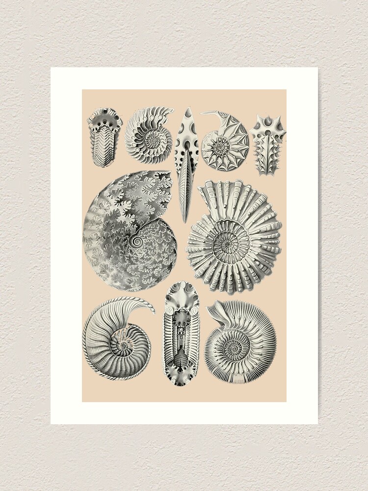 Thumbnail 1 of 3, Art Print, Technical Snails Pattern II designed and sold by PatronesKawai.