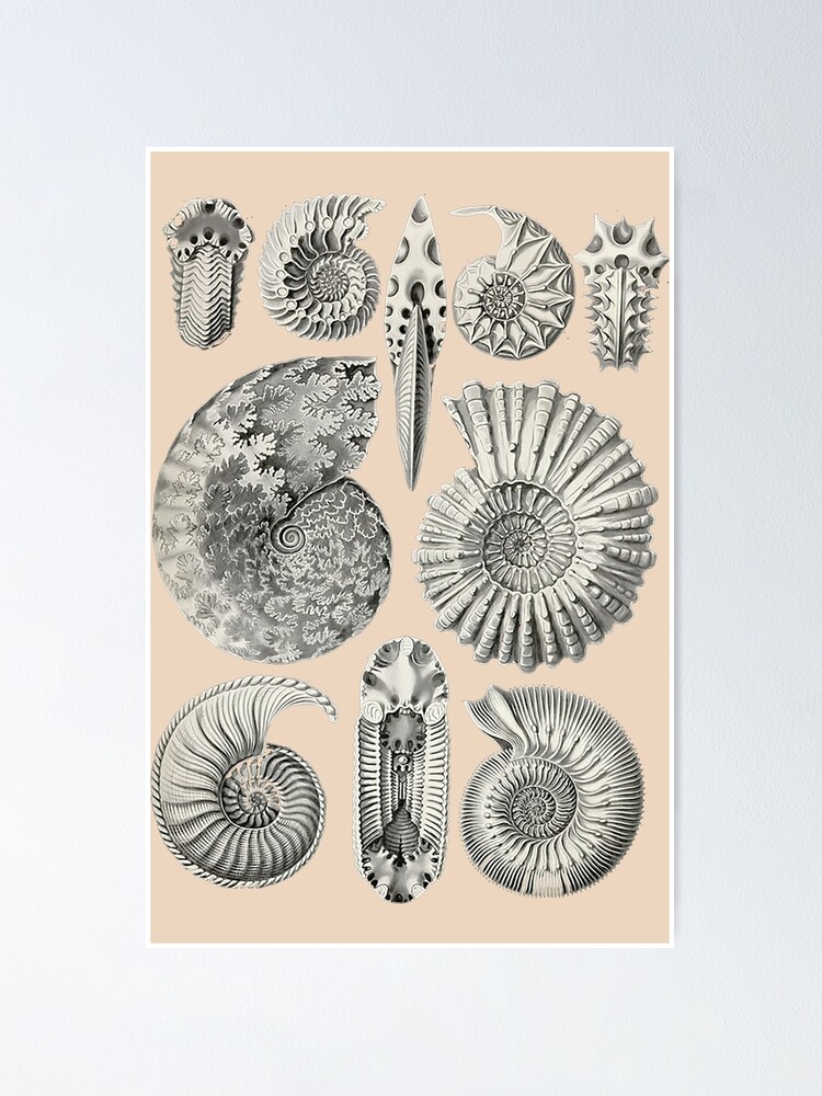 Thumbnail 1 of 3, Poster, Technical Snails Pattern II designed and sold by PatronesKawai.