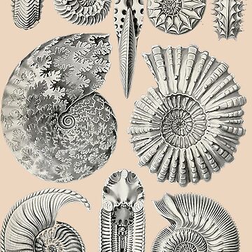 Artwork thumbnail, Technical Snails Pattern II by PatronesKawai