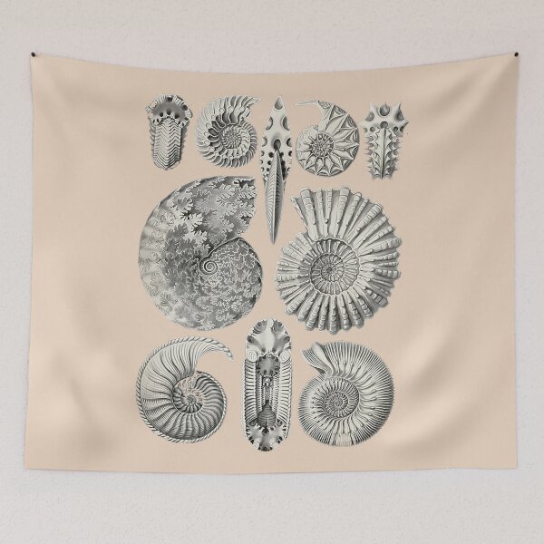 Tapestry