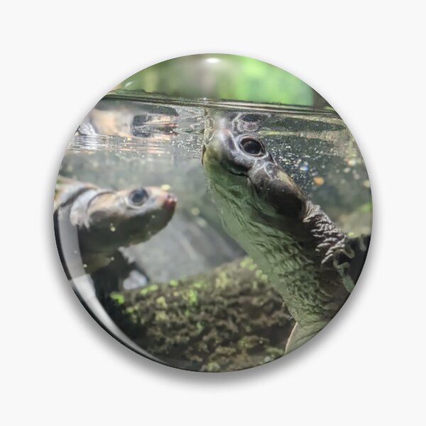 Item preview, Diamond Back Terrapin designed and sold by TheRealDanniX.