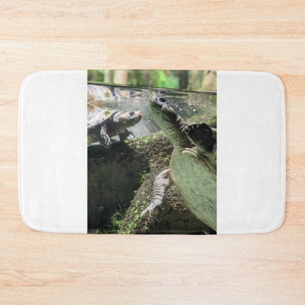 Item preview, Diamond Back Terrapin designed and sold by TheRealDanniX.