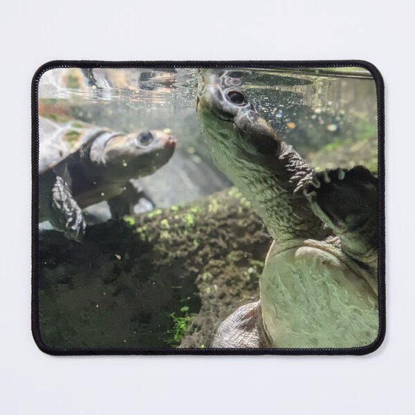 Item preview, Diamond Back Terrapin designed and sold by TheRealDanniX.