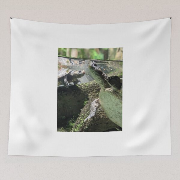 Item preview, Diamond Back Terrapin designed and sold by TheRealDanniX.