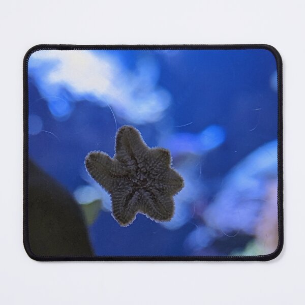 Item preview, Tiny Starfish designed and sold by TheRealDanniX.