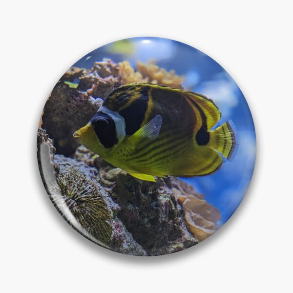 Item preview, Racoon Butterflyfish designed and sold by TheRealDanniX.