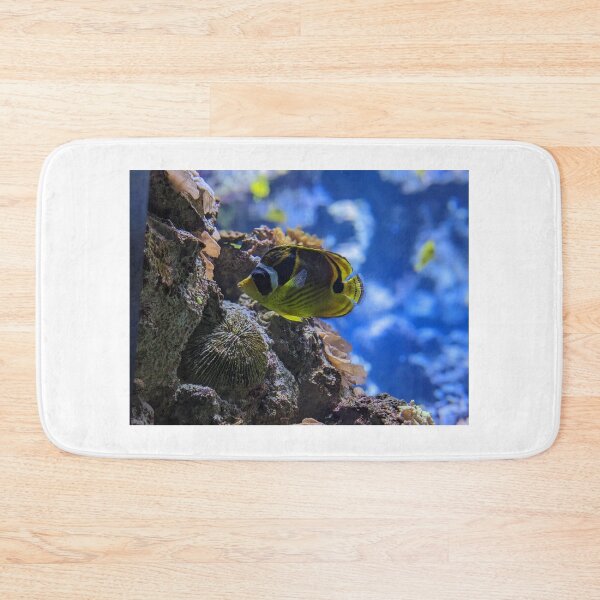 Item preview, Racoon Butterflyfish designed and sold by TheRealDanniX.