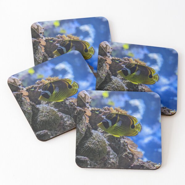 Item preview, Racoon Butterflyfish designed and sold by TheRealDanniX.