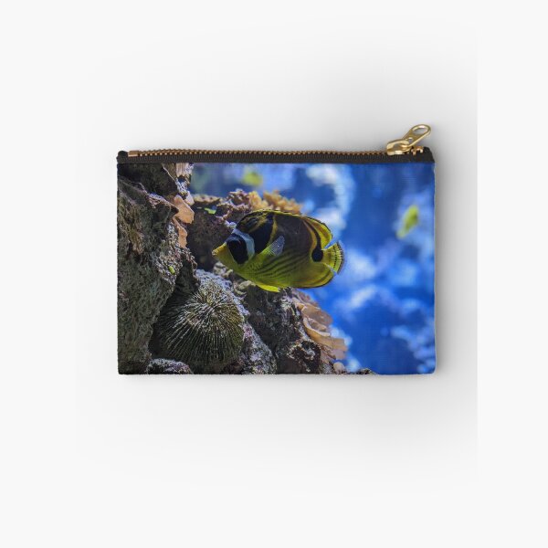 Item preview, Racoon Butterflyfish designed and sold by TheRealDanniX.