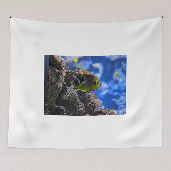 Item preview, Racoon Butterflyfish designed and sold by TheRealDanniX.