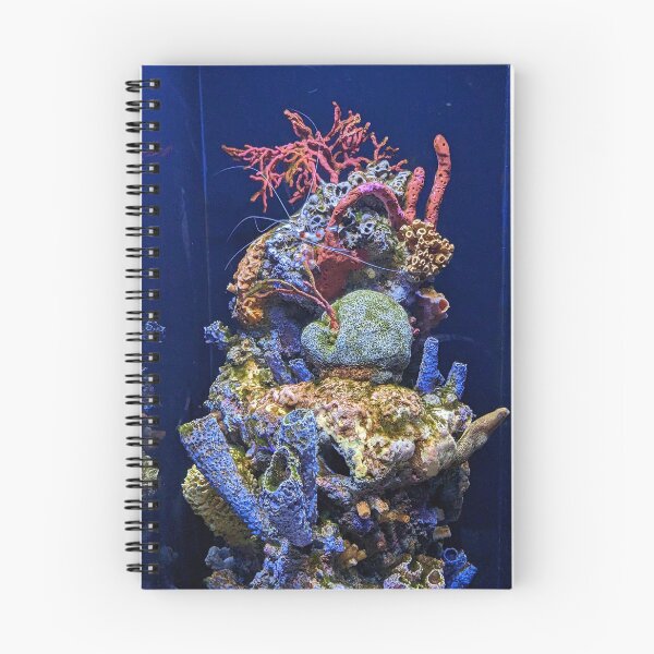 Item preview, Coral formation designed and sold by TheRealDanniX.