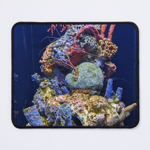 Item preview, Coral formation designed and sold by TheRealDanniX.