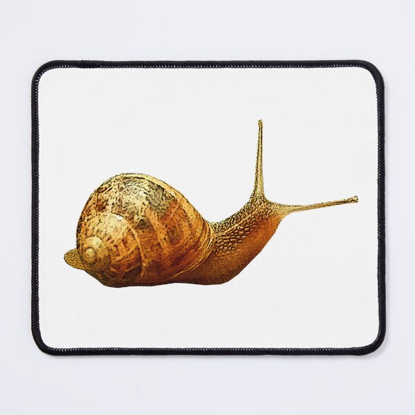 Item preview, Roman snail, cute animal shirts designed and sold by Kirei-Lily.