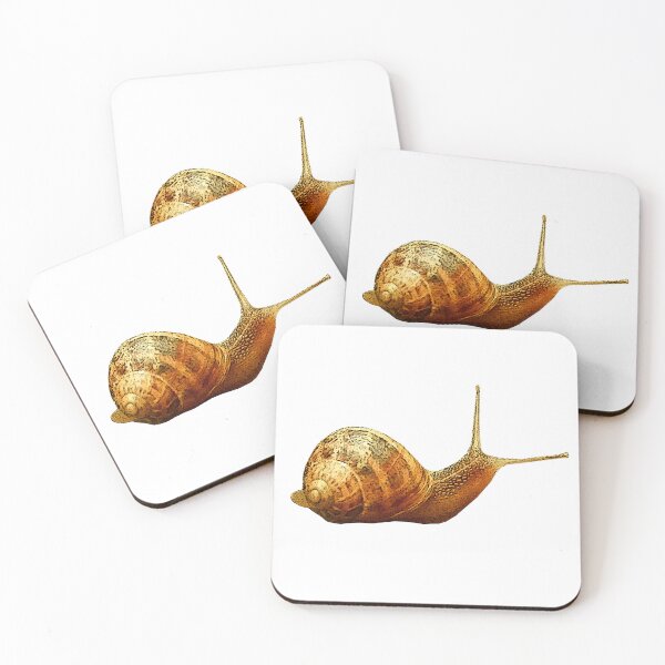 Item preview, Roman snail, cute animal shirts designed and sold by Kirei-Lily.