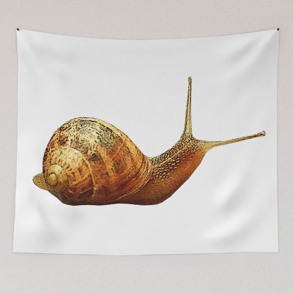 Item preview, Roman snail, cute animal shirts designed and sold by Kirei-Lily.