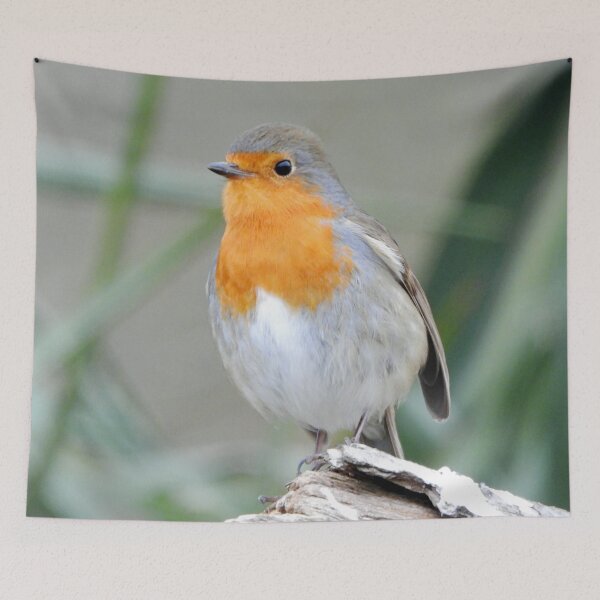 Item preview, A wonderful little Red Robin designed and sold by Karen Thomson.
