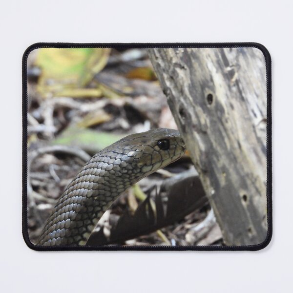 Item preview, Eastern Brown snake in forest designed and sold by Mark Grimsley.